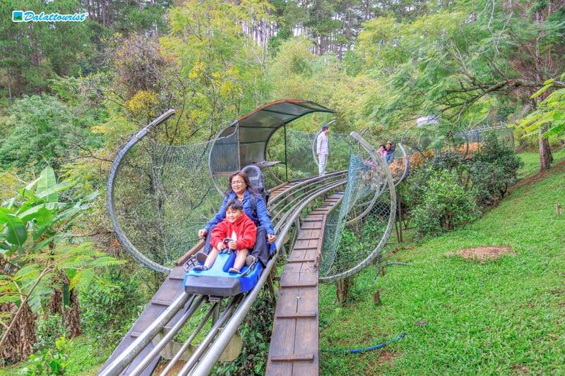 Mùa xuân Đà Lạt - Kinh nghiệm đi du lịch vào mùa này