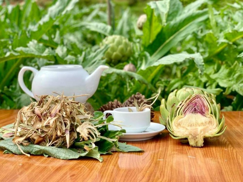 5 Bài thuốc từ Atiso với lợi ích cho gan và cơ thể bạn
