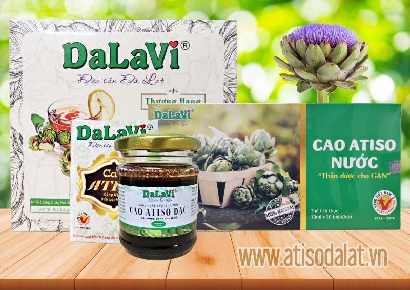 Vùng trồng atiso Đà Lạt từ DaLaVi đạt tiêu chuẩn GACP-WHO