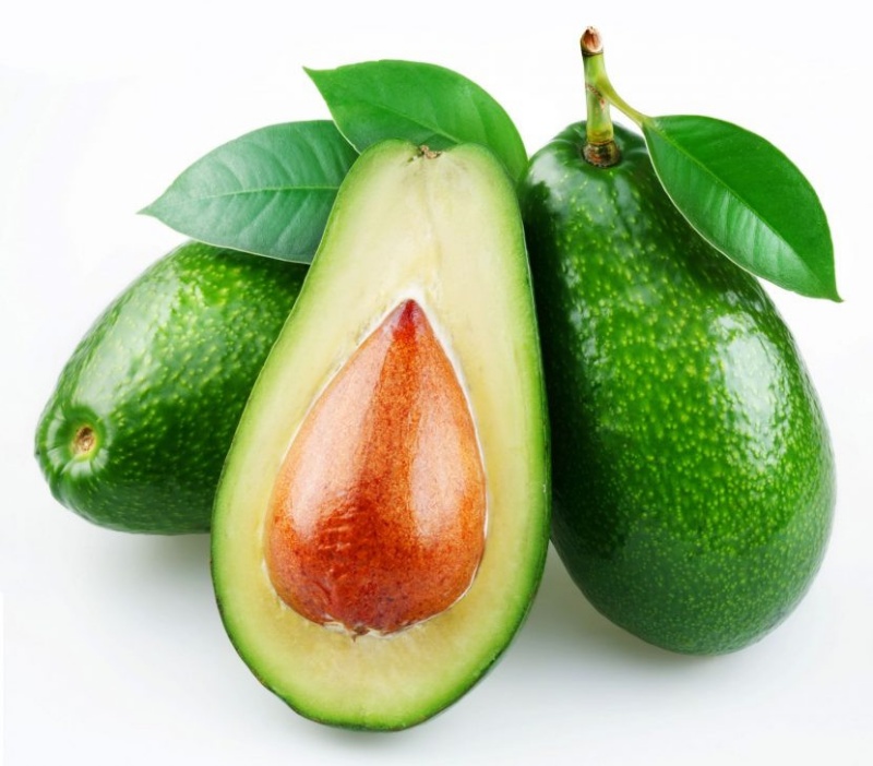 Bơ Lâm Đồng đa dạng các giống, loại nào ngon nhất?