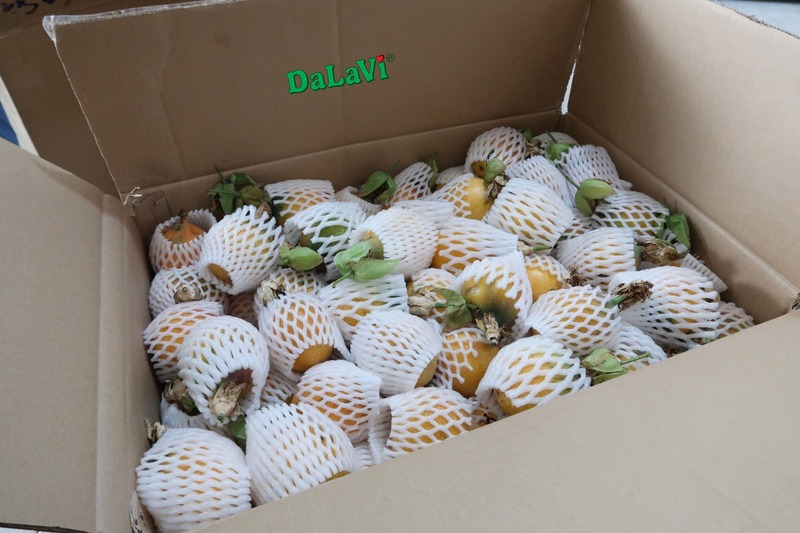 Chanh dây ngọt Đà Lạt đang sale sốc với giá cực ưu đãi 