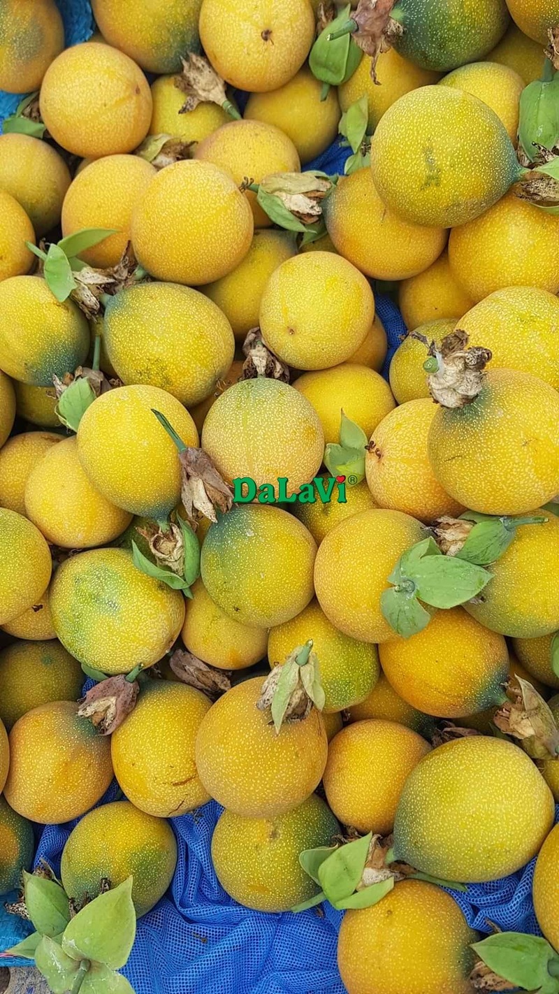 Chanh dây ngọt Đà Lạt đang sale sốc với giá cực ưu đãi 