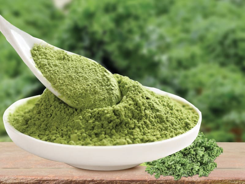 Bột cải xoăn (cải kale), công nghệ hiện đại, an toàn