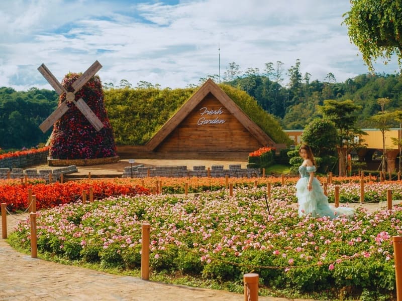 Địa điểm hot Đà Lạt - Top 5 điểm trên cung đường Tà Nung