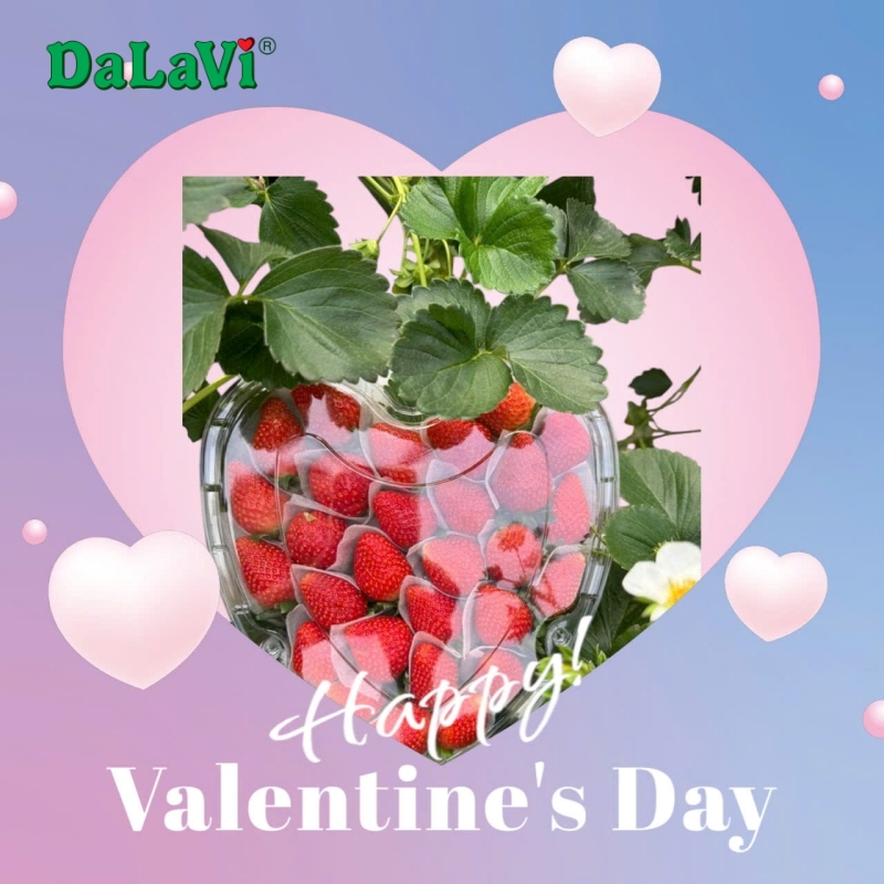 Hộp dâu tây trái tim