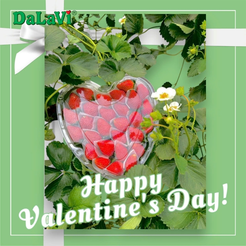 Valentine mua gì? Ý nghĩa và hiểu đúng về ngày 14/2
