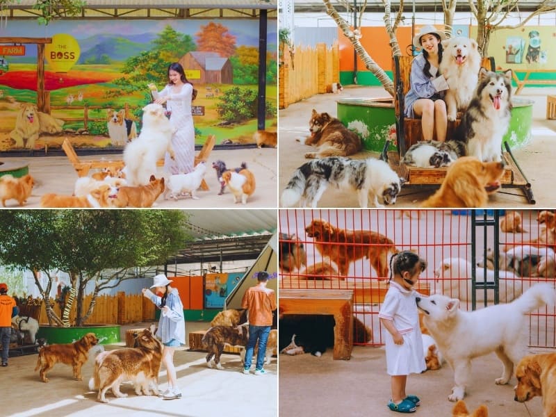 Địa điểm hot Đà Lạt - Top 5 điểm trên cung đường Tà Nung