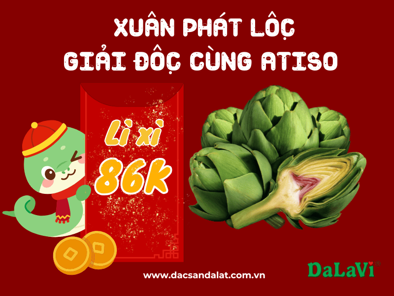 Nghe nhạc acoustic ở Đà Lạt - Show tháng 2 và tháng 3