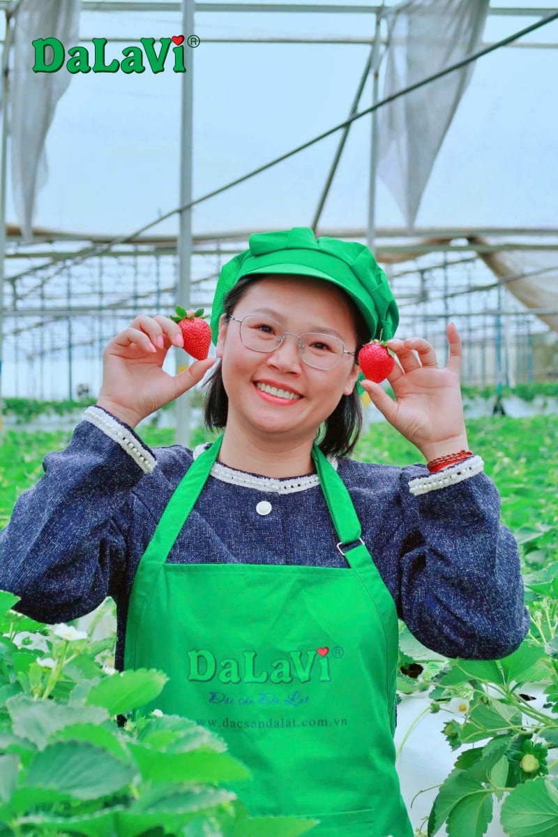 Bảo quản dâu tây không cần tủ lạnh, mẹo giữ tươi lâu