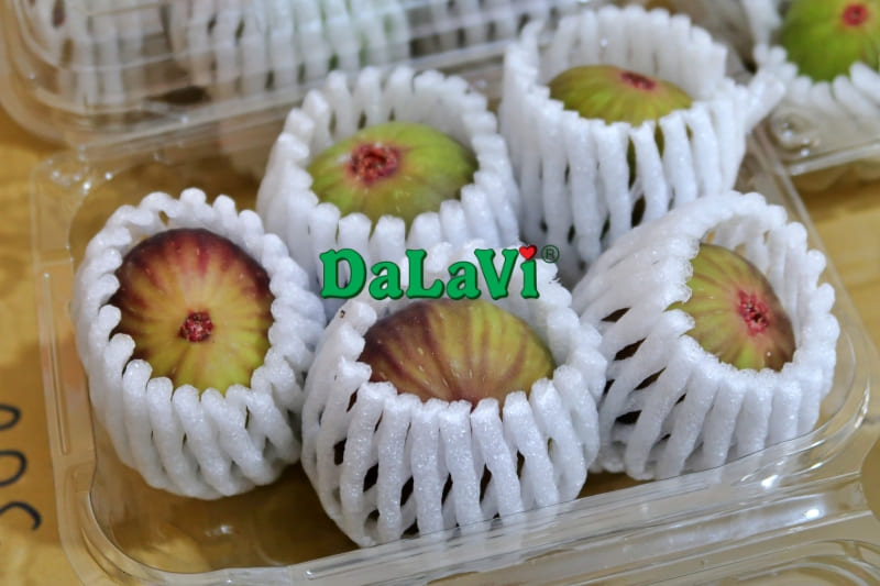 Quả sung Mỹ Đà Lạt mua ở đâu, đặc điểm và công dụng