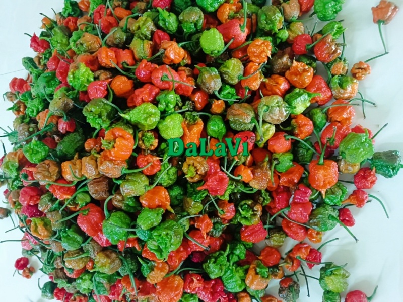 Tổng hợp đặc sản Lâm Đồng đầy đủ nhất không nên bỏ lỡ