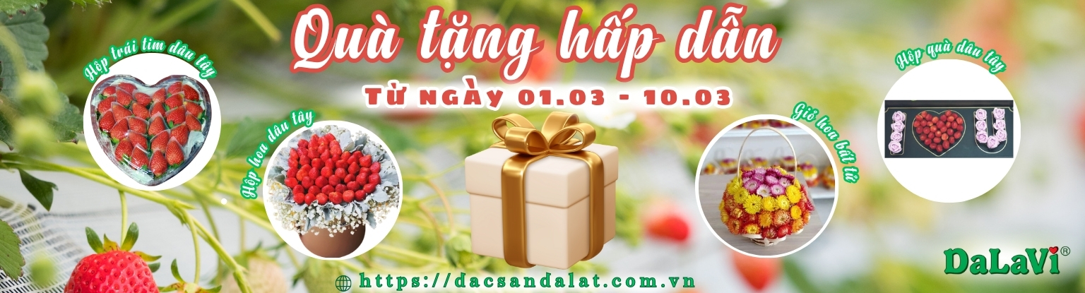 Quà tặng ngày 8 tháng 3, mua quà tặng nhận thêm quà hot