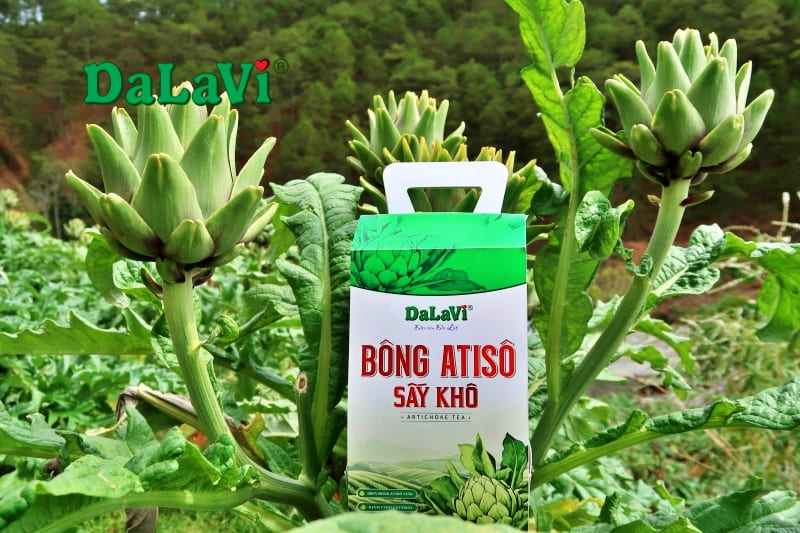 Cách nấu nước bông atiso đơn giản và dinh dưỡng tại nhà