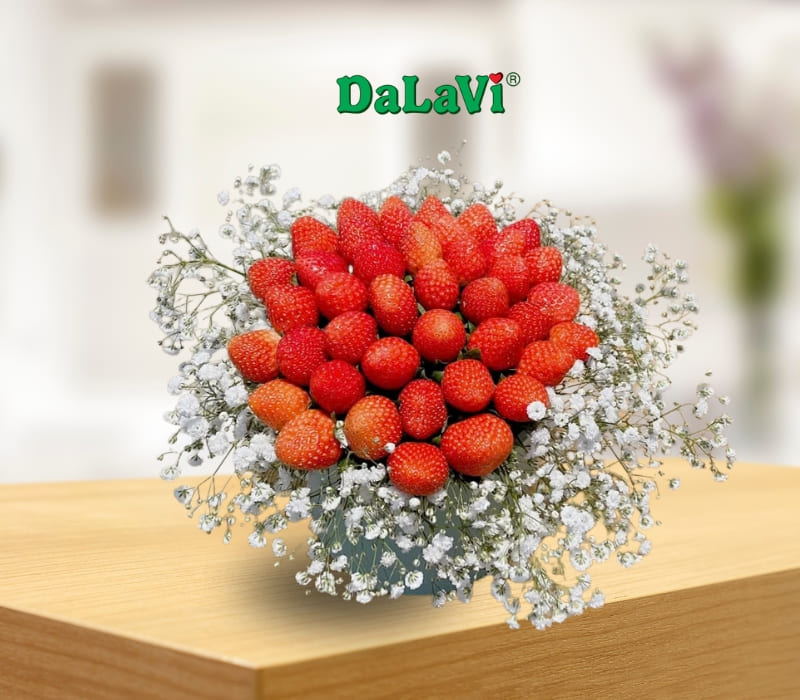 Dâu tây giống Nhật Bản tại Đà Lạt, hữu cơ, an toàn