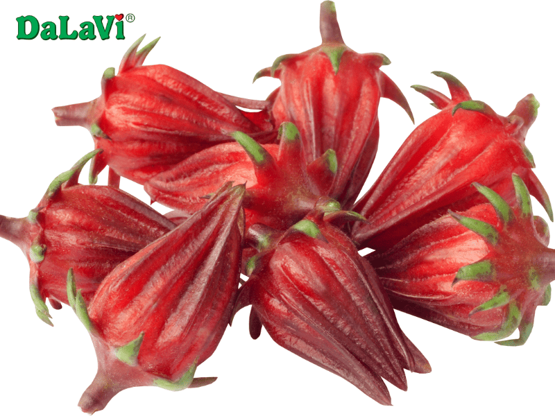 Atiso đỏ Đà Lạt chất lượng từ vùng trồng 100% sạch