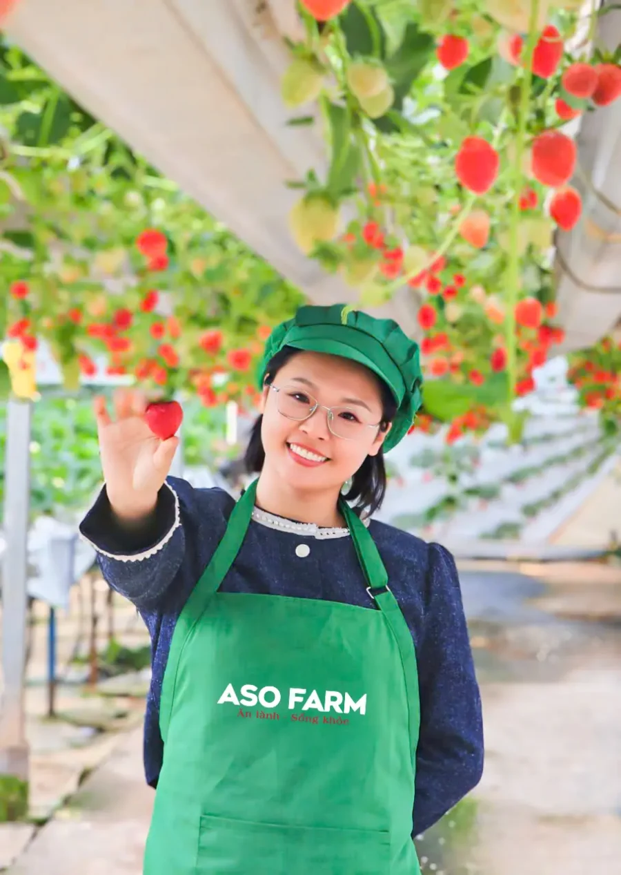 Dâu tây giống Nhật Bản - Ảnh 2