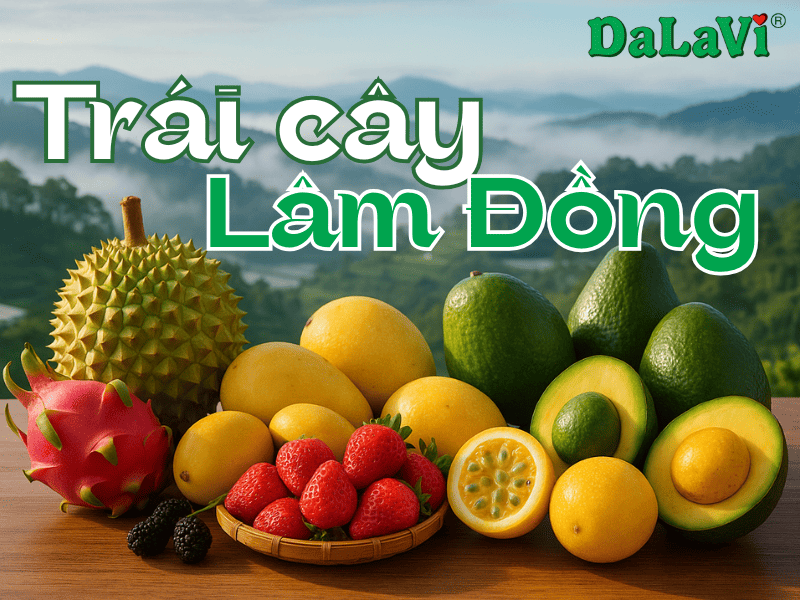 Trái cây sấy Lâm Đồng chất lượng, mua ở đâu uy tín