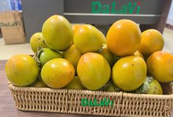 Hồng giòn Đà Lạt