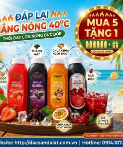 Combo Nước cốt trái cây