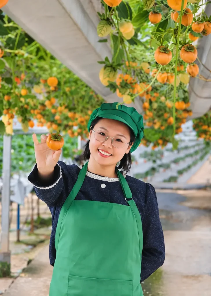 Hồng Chín Nên trên cây